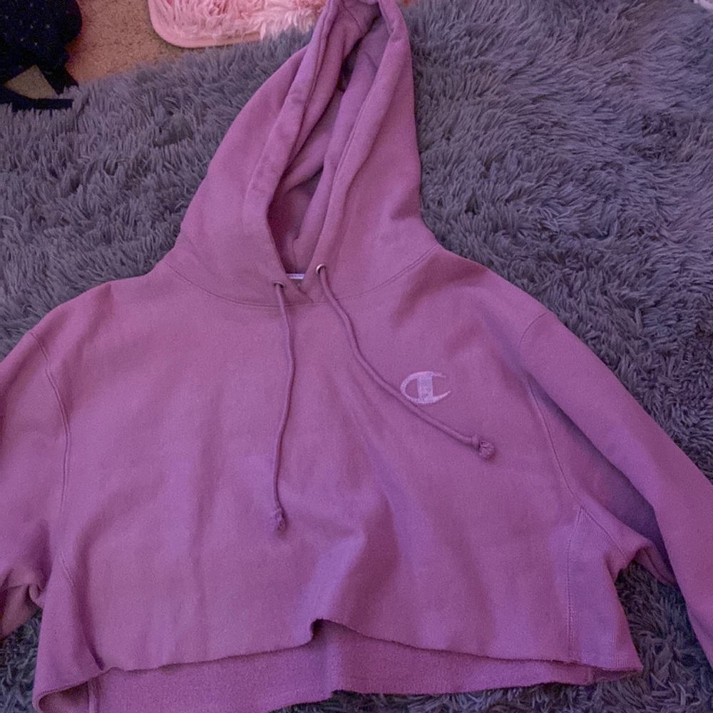 Champion cropped hoodie